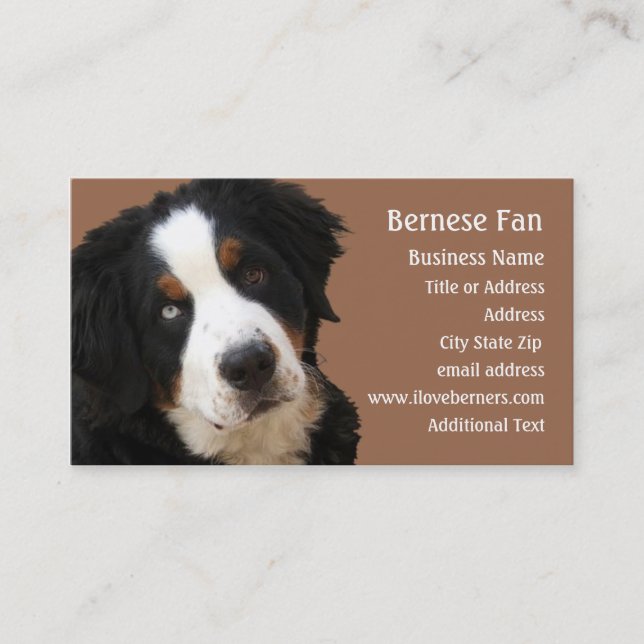 Bernese Mtn Dog Business Card - "Lucy" (Front)