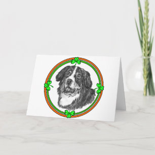 Bernese Mtn Dog St Patricks Card