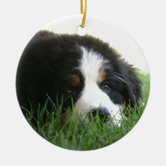 Bernese Puppy Ceramic Tree Decoration