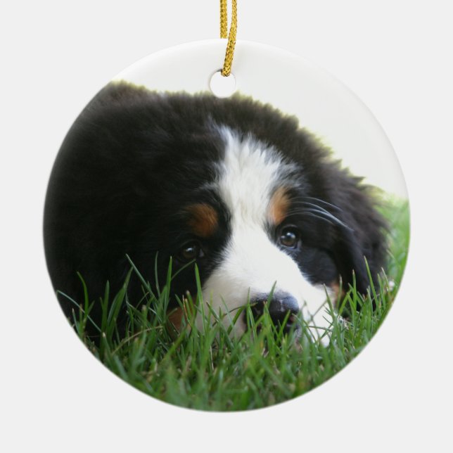 Bernese Puppy Ceramic Tree Decoration (Front)