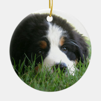 Bernese Puppy Ceramic Tree Decoration