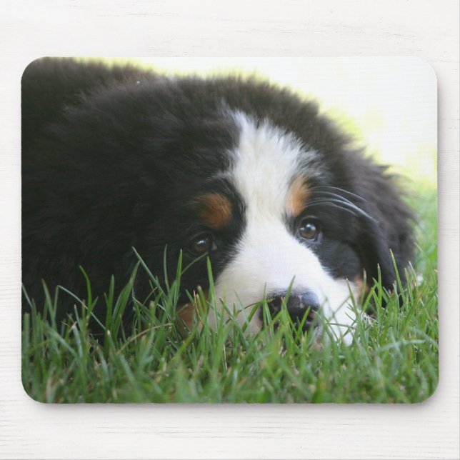 Bernese Puppy Mousepad (Front)