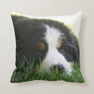 Bernese Puppy Pillow