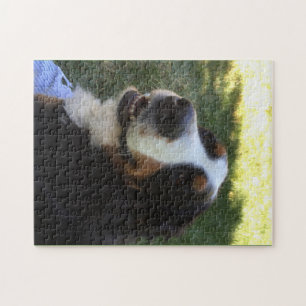 Bernese Puzzle