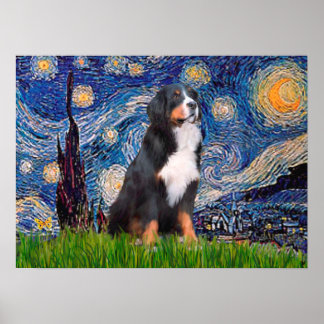 Bernese - Starry Night Poster