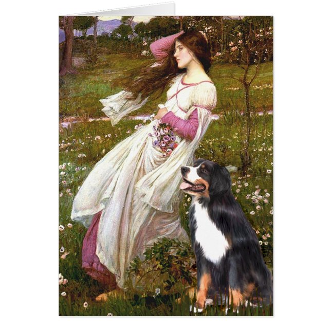 Bernese - WIndflowers (Front)