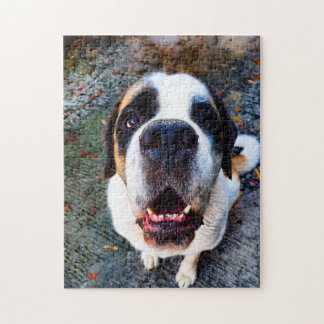 Bernhadn Jigsaw Puzzle