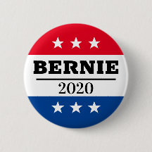 BERNIE 2020 Election Pin