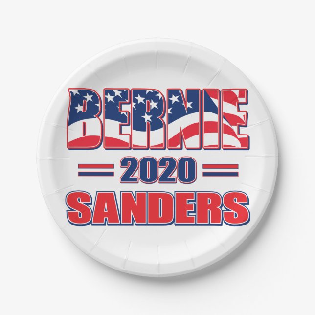 Bernie Sanders for President Paper Plate (Front)