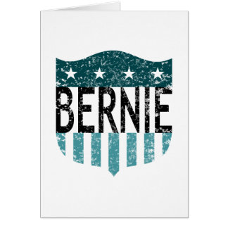BERNIE stars and stripes