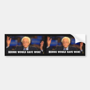 BERNIE WOULD HAVE WON! -  sticker for any surface