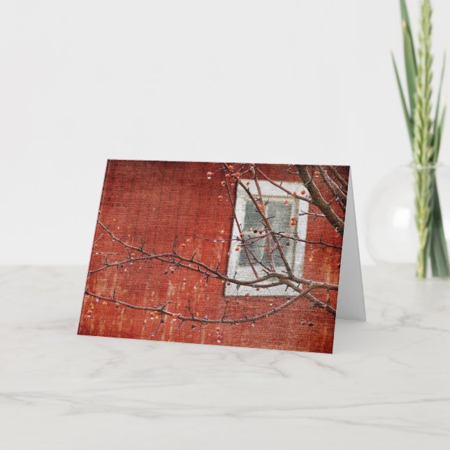 Berries and Barn, Christmas Holiday Card (Front)