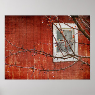 Berries and Barn Poster