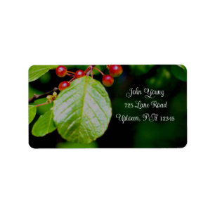 Berries and Leaves Address Labels