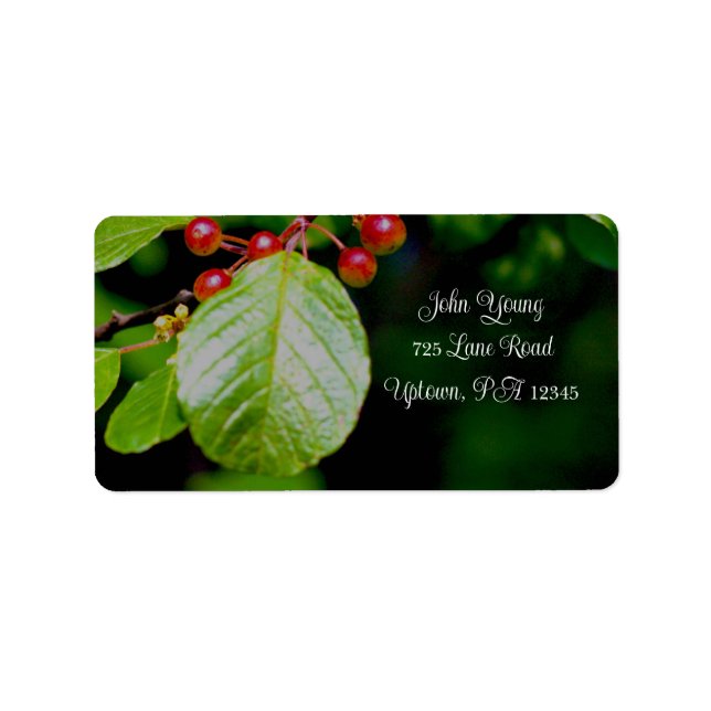 Berries and Leaves Address Labels  (Front)
