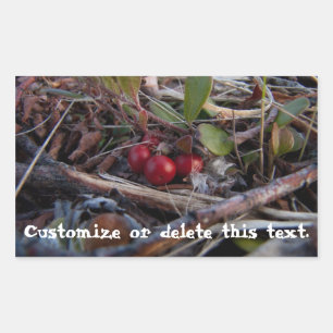 Berries and Twigs; Customisable Rectangular Sticker