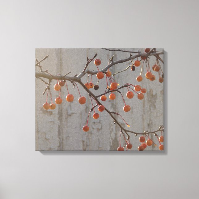 Berries and White Barn Canvas Print (Front)