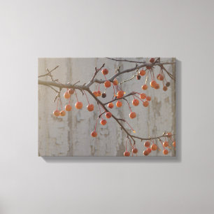 Berries and White Barn Canvas Print