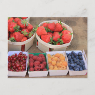 Berries at the market postcard