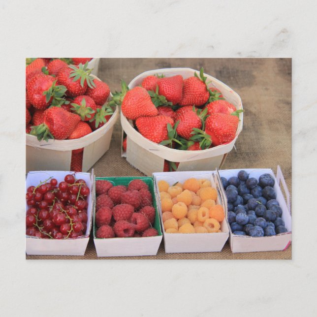 Berries at the market postcard (Front)