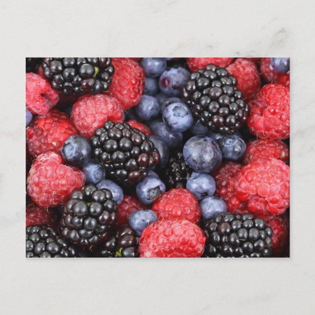 berries background postcard (Front)