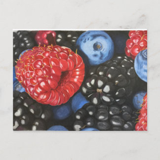 Berries drawn with coloured pencil postcard