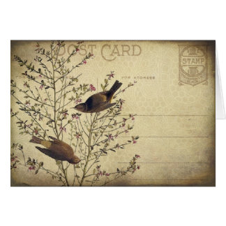 Berry Birds