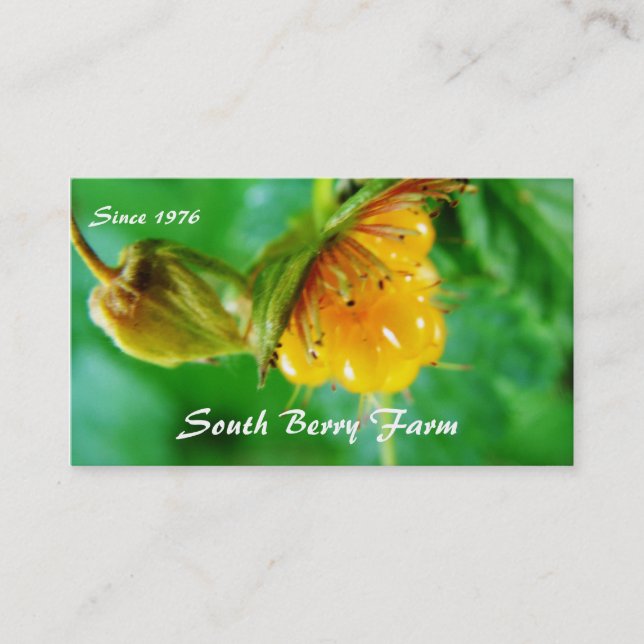 berry farm business card (Front)