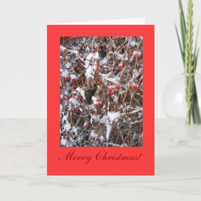 Berry Merry Christmas Holiday Card (Front)