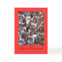 Berry Merry Christmas