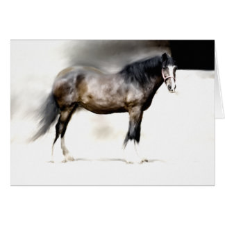 BERTHA Biggest SHIRE HORSE