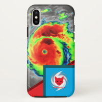 Beryl WeatherCat Phone Case