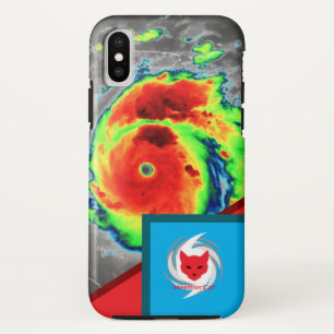 Beryl WeatherCat Phone Case