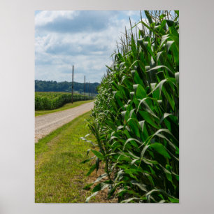 Beside A Corn Field Poster