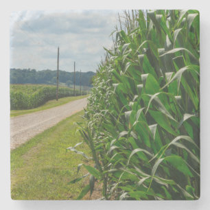 Beside A Corn Field Stone Coaster