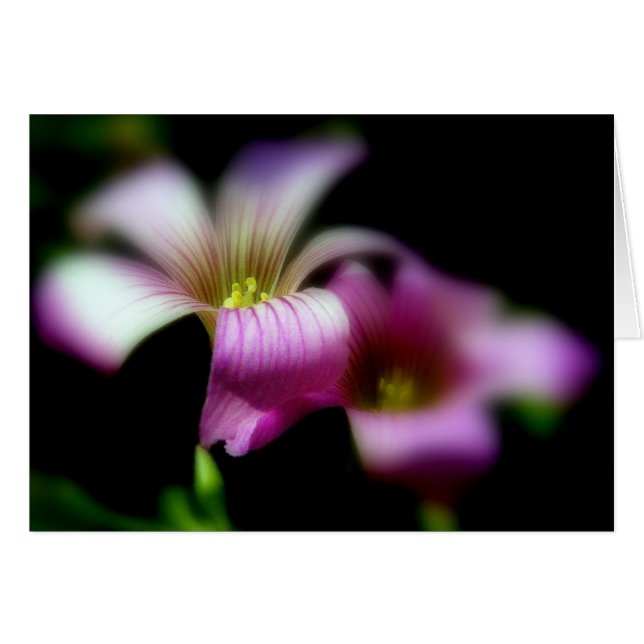 Beside You Always/ Love Wedding Card (Front Horizontal)