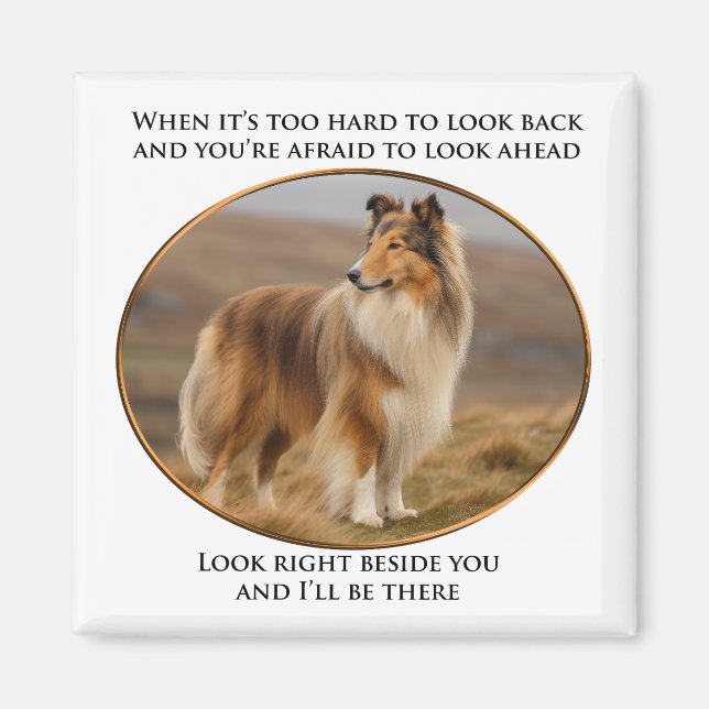 Beside You Collie Magnet (Front)
