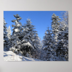 Beskids Winter Poster