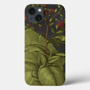 Besler Dramatique I iPhone 13 Case