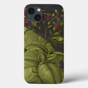 Besler Dramatique I iPhone 13 Case