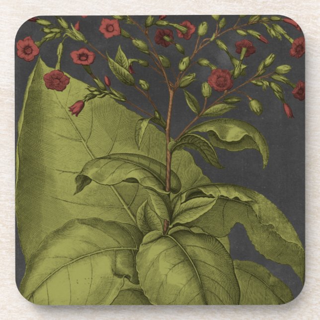 Besler Dramatique I Coaster (Front)