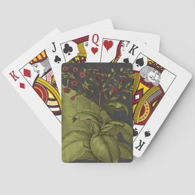 Besler Dramatique I Playing Cards (Back)