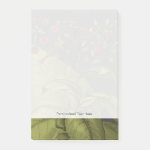 Besler Dramatique I Post-it Notes