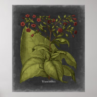 Besler Dramatique I