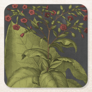 Besler Dramatique I Square Paper Coaster
