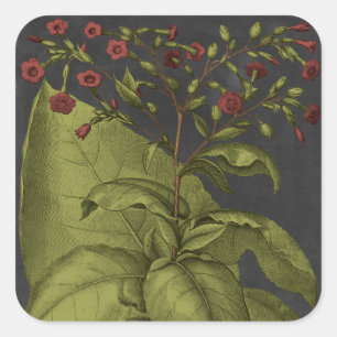 Besler Dramatique I Square Sticker