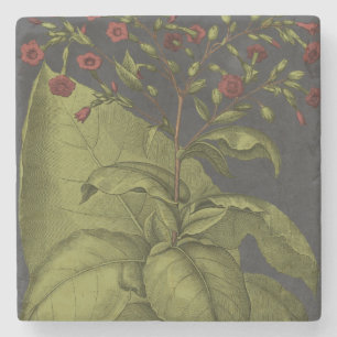 Besler Dramatique I Stone Coaster