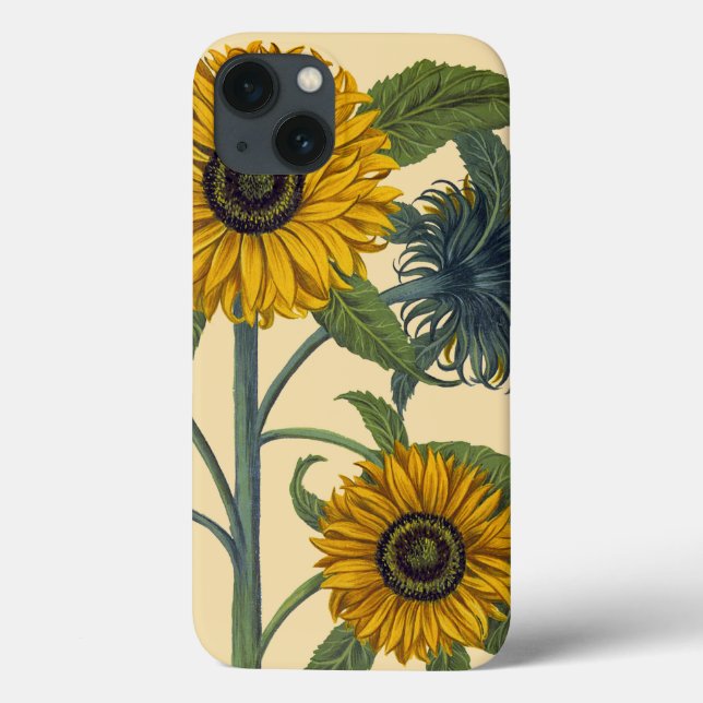 Besler: Sunflower Case-Mate iPhone Case (Back)