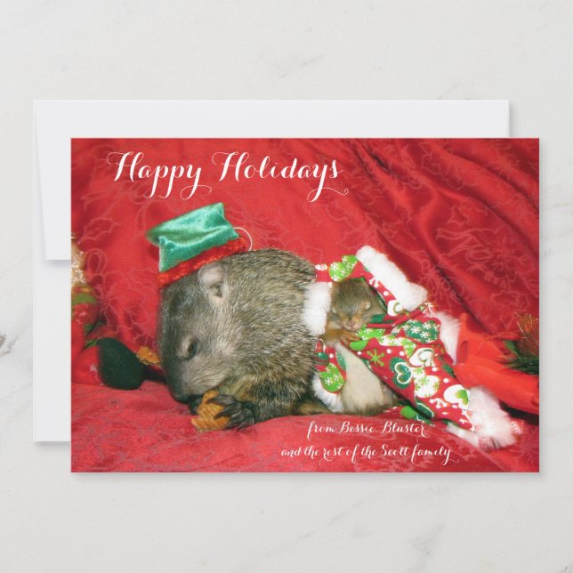 Bessie and Bluster Holiday Invitation/Photocard (Front)