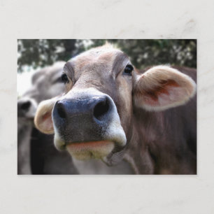 Bessy Says Hi Greeting Card